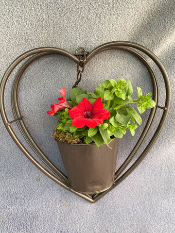 Hanging Baskets