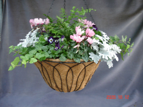 Wire Seasonal Basket, with coco liner 36cm, Seasonally planted for outdoor use