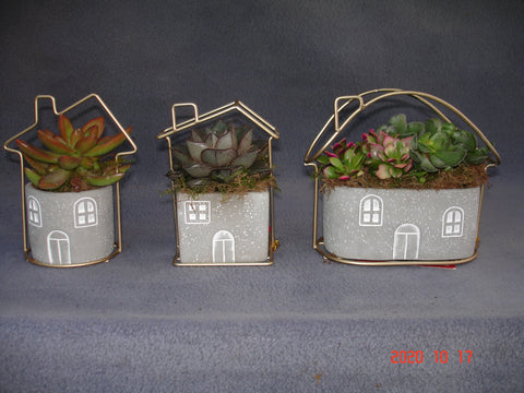 Succulent Mini House Collection 3 in total 1 of each in picture