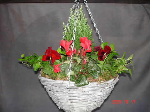 Seasonal Hanging Basket 12" Seasonally planted for outdoor use